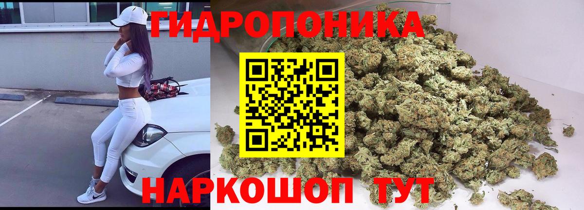 Ивантеевка  Каннабис White Widow  Вход с VPN  Каннабис индика 